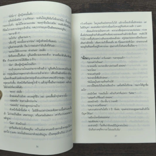 ลวงตา ลวงตาย Echo Burning - Lee Child รูปที่ 8