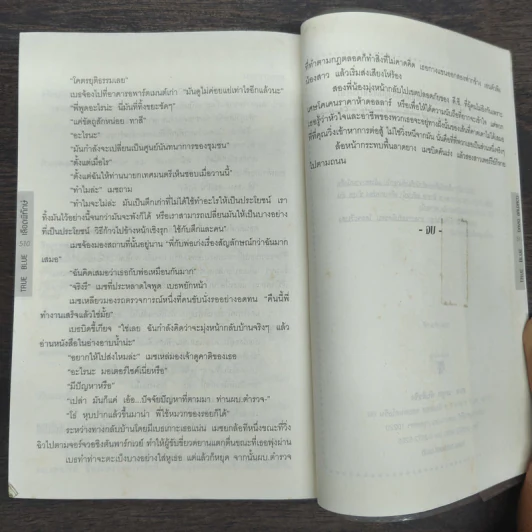 เลือดพิทักษ์ True Blue - David Baldacci รูปที่ 9