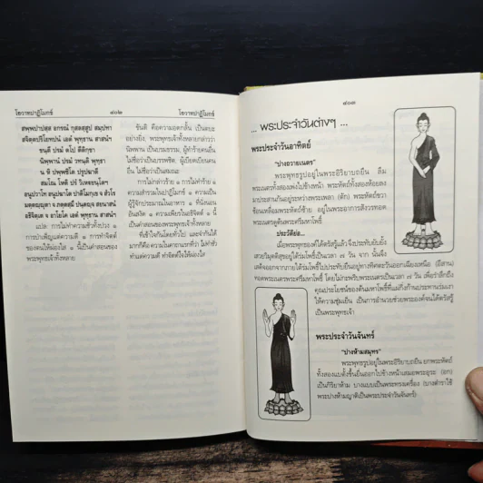 พจนานุกรม พระพุทธศาสนา ฉบับการ์ตูน รูปที่ 9