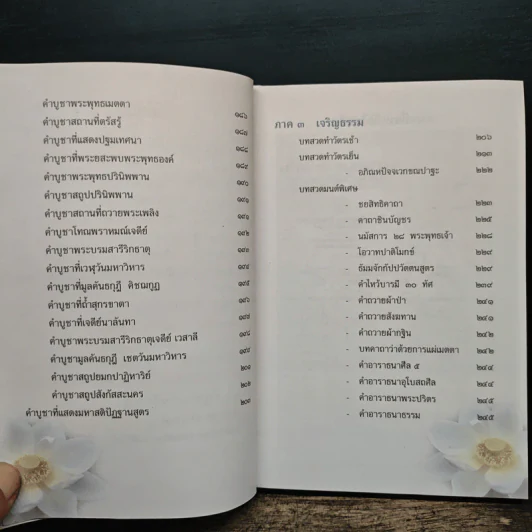 คู่มือ : เที่ยวถิ่นพุทธ รูปที่ 7