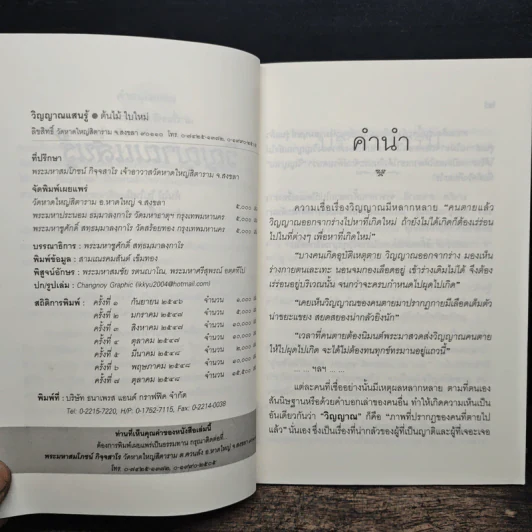 วิญญาณแสนรู้ - ต้นไม้ ใบใหม่ รูปที่ 7