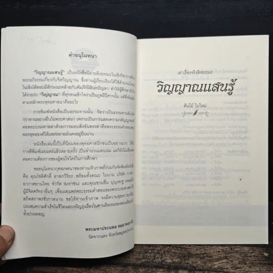 วิญญาณแสนรู้ - ต้นไม้ ใบใหม่ รูปที่ 6