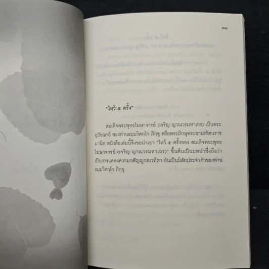 เจ้าคุณนรรัตนราชมานิต ธมมวิตกโก ภิกขุ รูปที่ 8