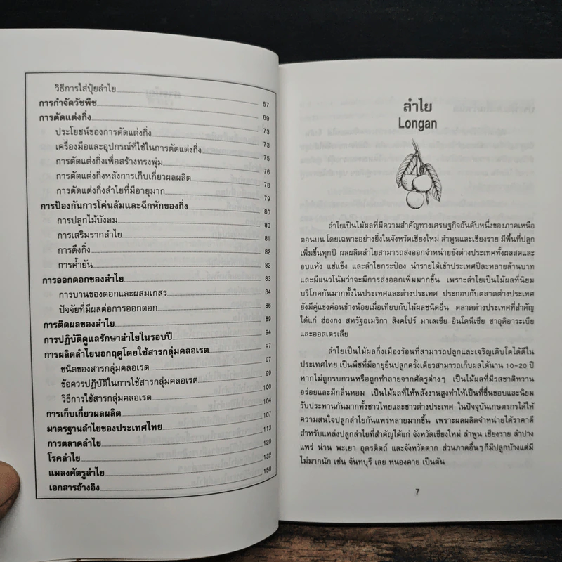 ลำไย - อนันต์ ดำรงค์สุข รูปที่ 8