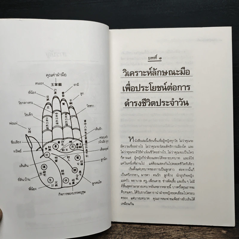 อ่านหญิงจากลายมือ - ไชย ชาญธรรม, ลอรี่ เรด รูปที่ 8