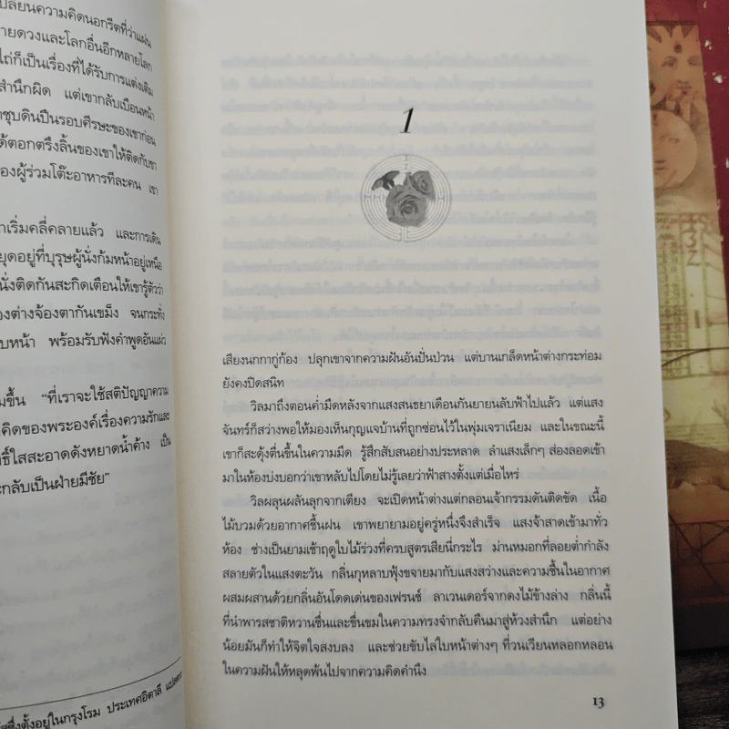 Boxset ปริศนาวงกตกุหลาบ - ติตาเนีย ฮาร์ดี รูปที่ 9