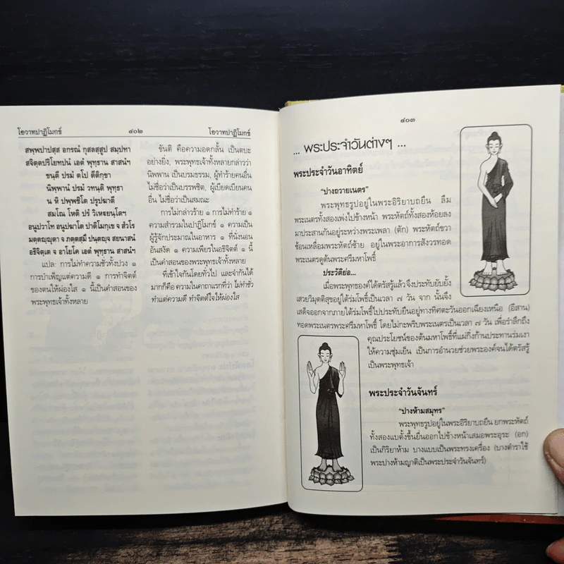 พจนานุกรม พระพุทธศาสนา ฉบับการ์ตูน รูปที่ 9