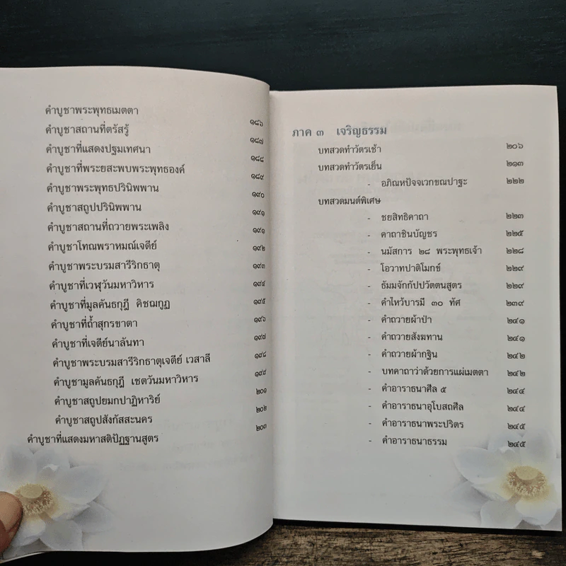 คู่มือ : เที่ยวถิ่นพุทธ รูปที่ 7