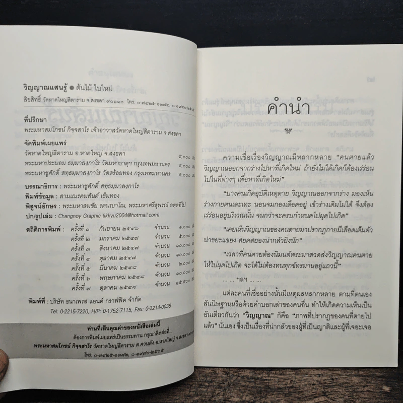 วิญญาณแสนรู้ - ต้นไม้ ใบใหม่ รูปที่ 7
