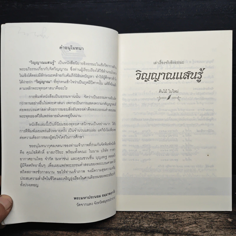 วิญญาณแสนรู้ - ต้นไม้ ใบใหม่ รูปที่ 6