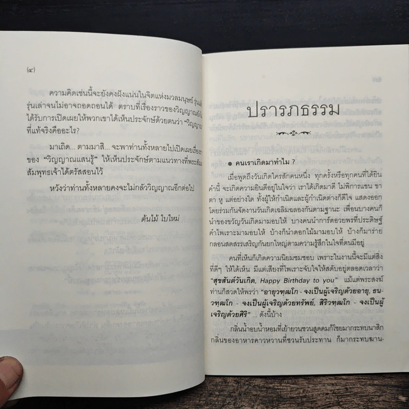 วิญญาณแสนรู้ - ต้นไม้ ใบใหม่ รูปที่ 8