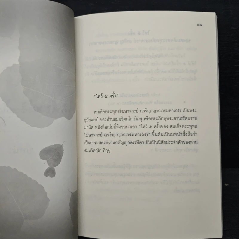 เจ้าคุณนรรัตนราชมานิต ธมมวิตกโก ภิกขุ รูปที่ 8