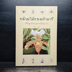 กล้วยไม้รองเท้านารี - ไชยา, ลาวัลย์ รูปที่ 1