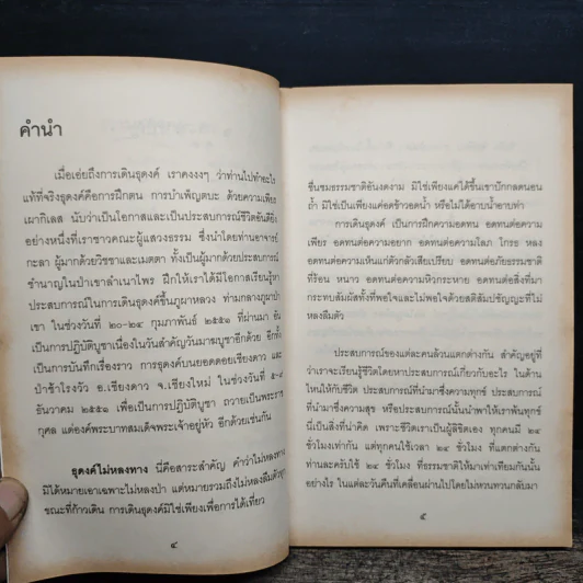 ธุดงค์ไม่หลงทาง - ธีรยุทธ เวชเจริญยิ่ง รูปที่ 7