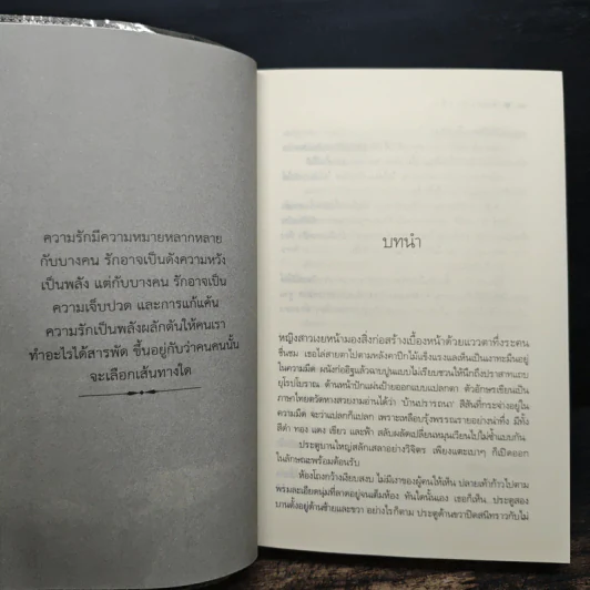 พันธะสีเพลิง - ติญญา รูปที่ 7
