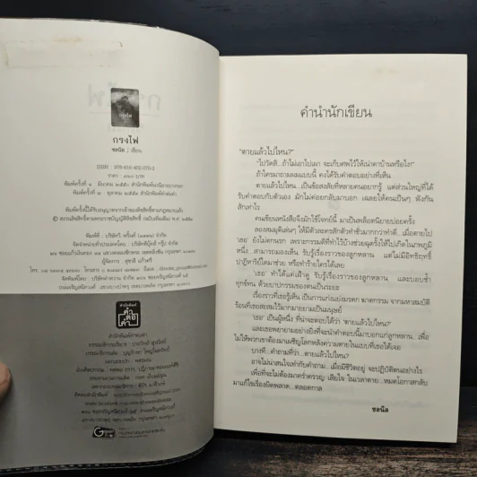 กรงไฟ - ชลนิล รูปที่ 7