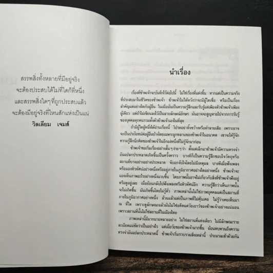 นางทิพย์ - แก้วเก้า รูปที่ 7
