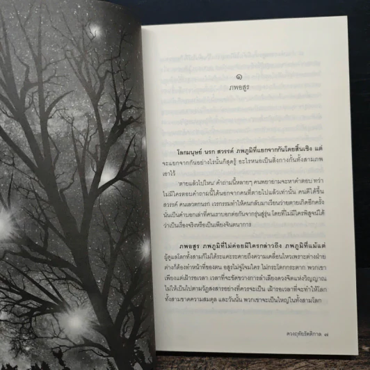 ดวงฤทัยรัตติกาล - พราวพุธ รูปที่ 8