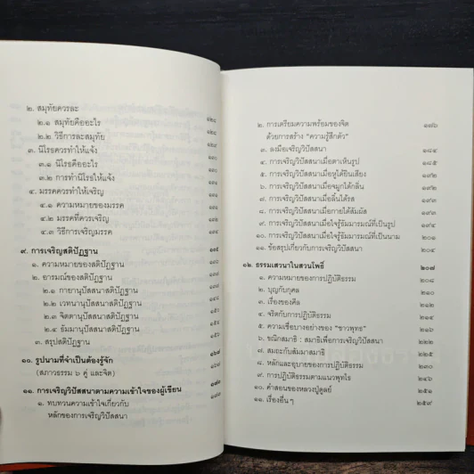 ประทีปส่องธรรม - พระปราโมทย์ ปาโมชโช รูปที่ 8