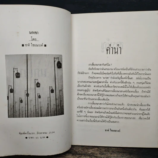 นกเขา - ชาติ ไชยณรงค์ รูปที่ 6