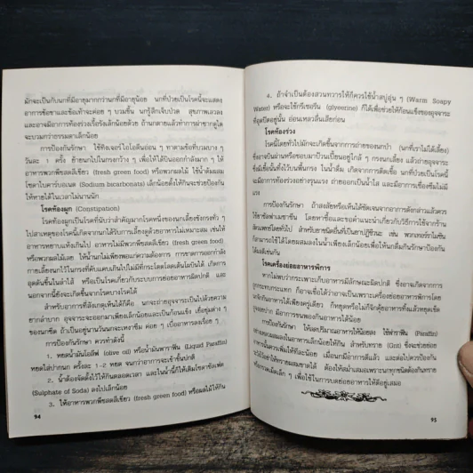 นกเขา - ชาติ ไชยณรงค์ รูปที่ 9