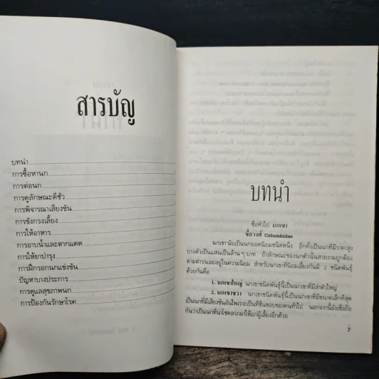 นกเขา - ชาติ ไชยณรงค์ รูปที่ 7
