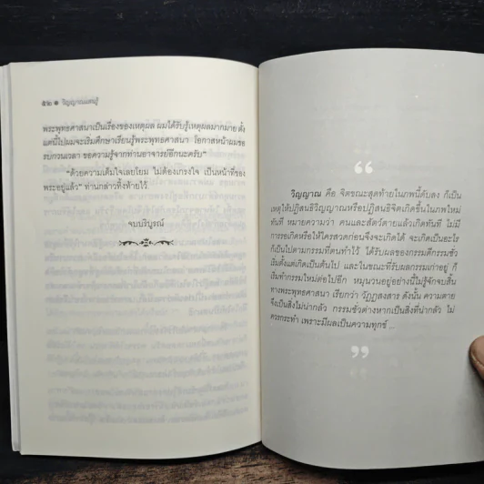 วิญญาณแสนรู้ - ต้นไม้ ใบใหม่ รูปที่ 9