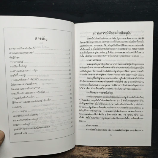 มังคุด - สมศักดิ์ วรรณศิริ รูปที่ 7