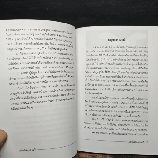 กล้วยไม้รองเท้านารี - ไชยา, ลาวัลย์ รูปที่ 8