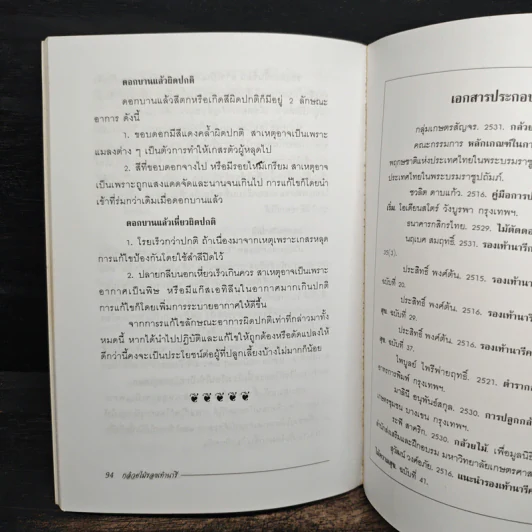 กล้วยไม้รองเท้านารี - ไชยา, ลาวัลย์ รูปที่ 10