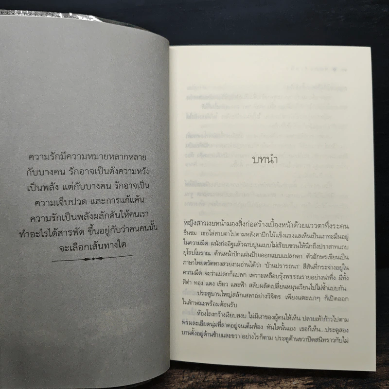 พันธะสีเพลิง - ติญญา รูปที่ 7