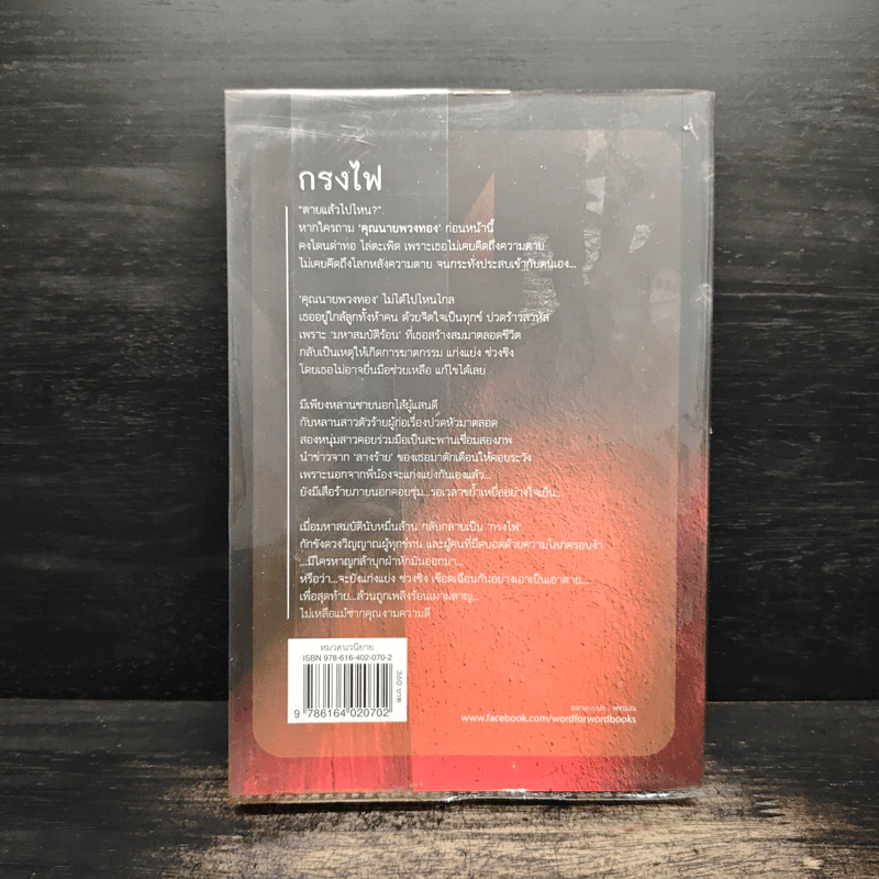 กรงไฟ - ชลนิล รูปที่ 2