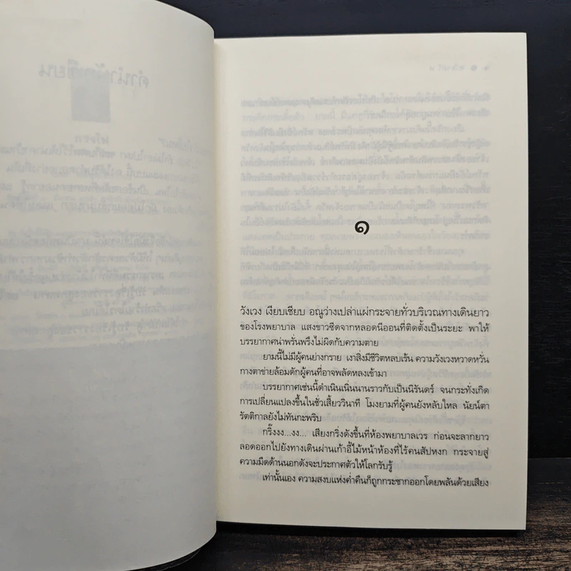 กรงไฟ - ชลนิล รูปที่ 8