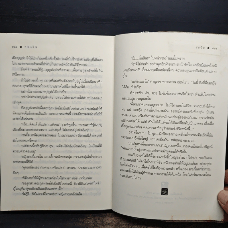 กรงไฟ - ชลนิล รูปที่ 9