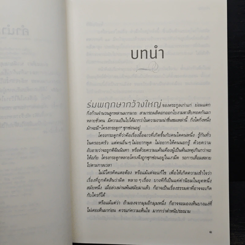 ช่อมะลิลา - แก้วเก้า รูปที่ 7