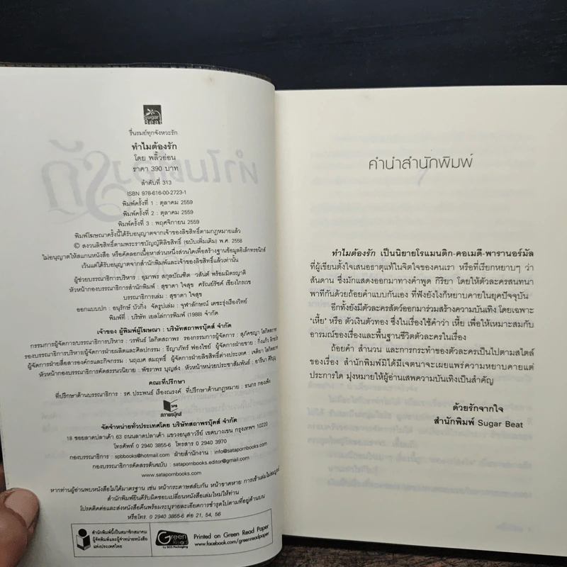 ทำไมต้องรัก - พลิ้วอ่อน รูปที่ 6