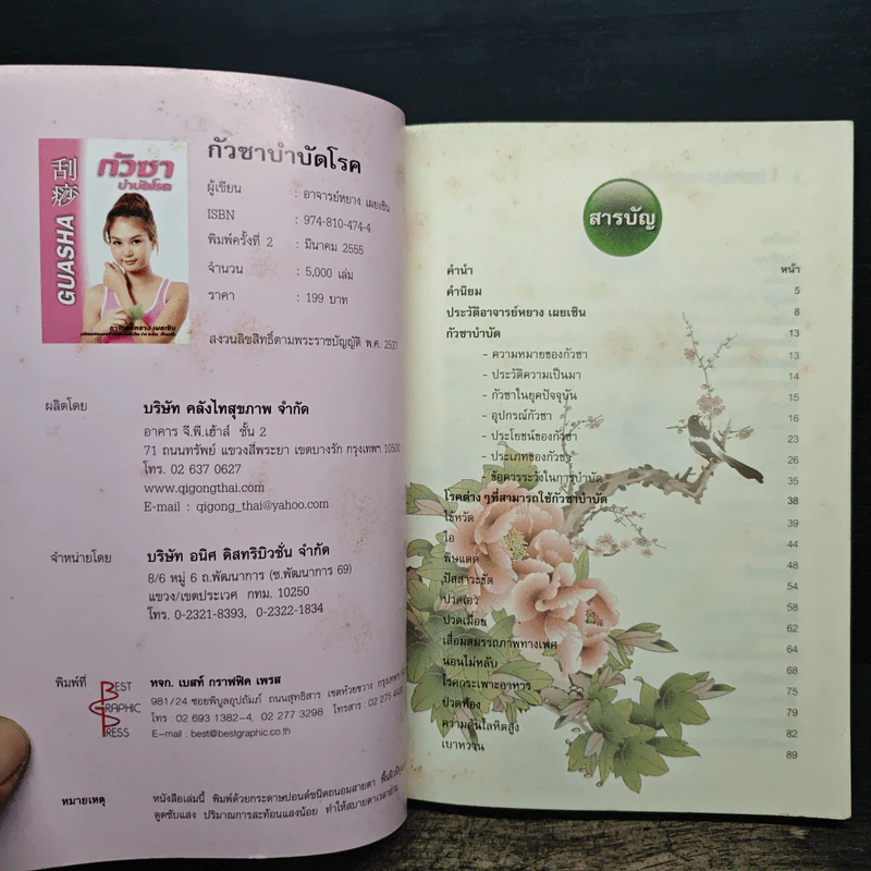 กัวซา บำบัดโรค - อาจารย์หยาง เผยเซิน รูปที่ 6