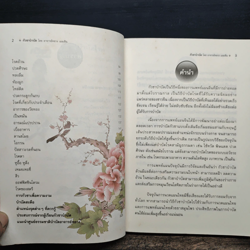 กัวซา บำบัดโรค - อาจารย์หยาง เผยเซิน รูปที่ 7