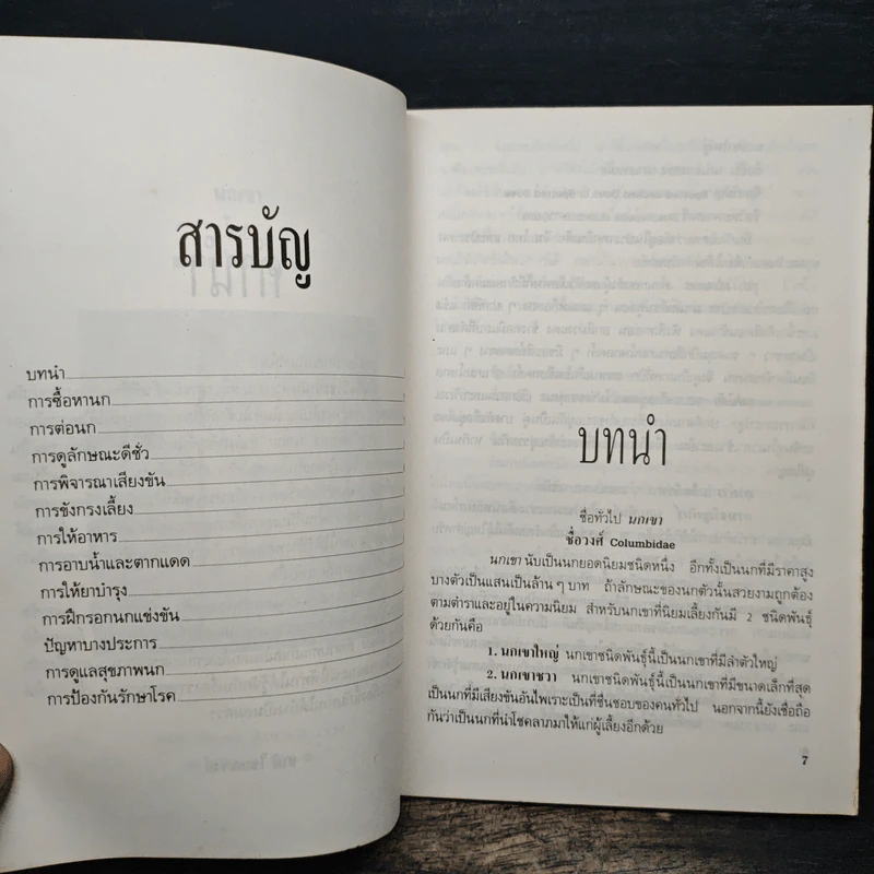 นกเขา - ชาติ ไชยณรงค์ รูปที่ 7