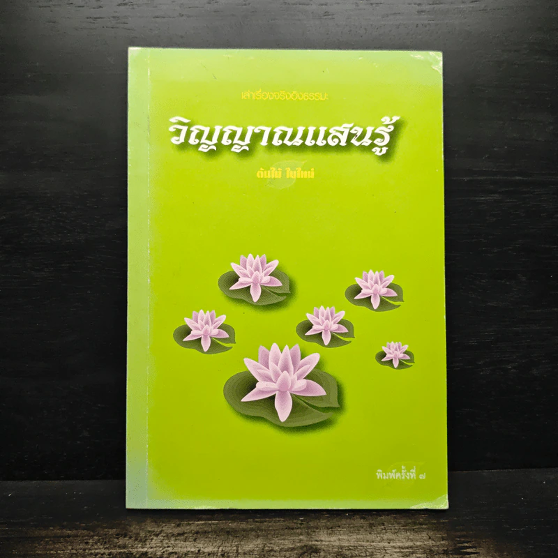 วิญญาณแสนรู้ - ต้นไม้ ใบใหม่ รูปที่ 1