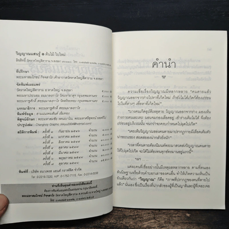 วิญญาณแสนรู้ - ต้นไม้ ใบใหม่ รูปที่ 6
