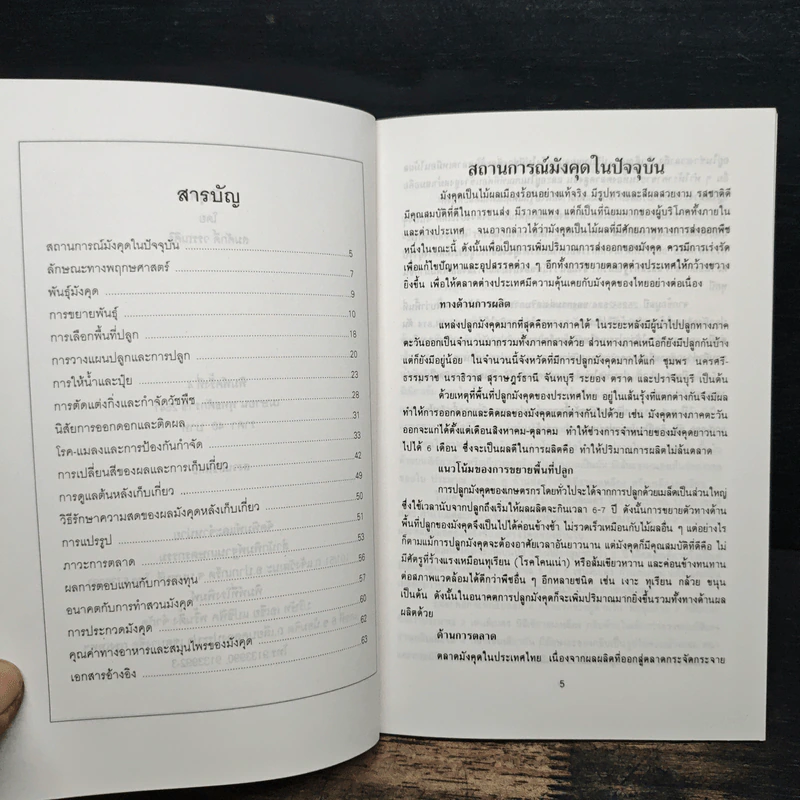 มังคุด - สมศักดิ์ วรรณศิริ รูปที่ 7