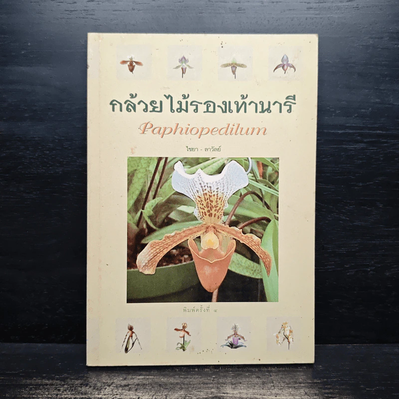 กล้วยไม้รองเท้านารี - ไชยา, ลาวัลย์ รูปที่ 1