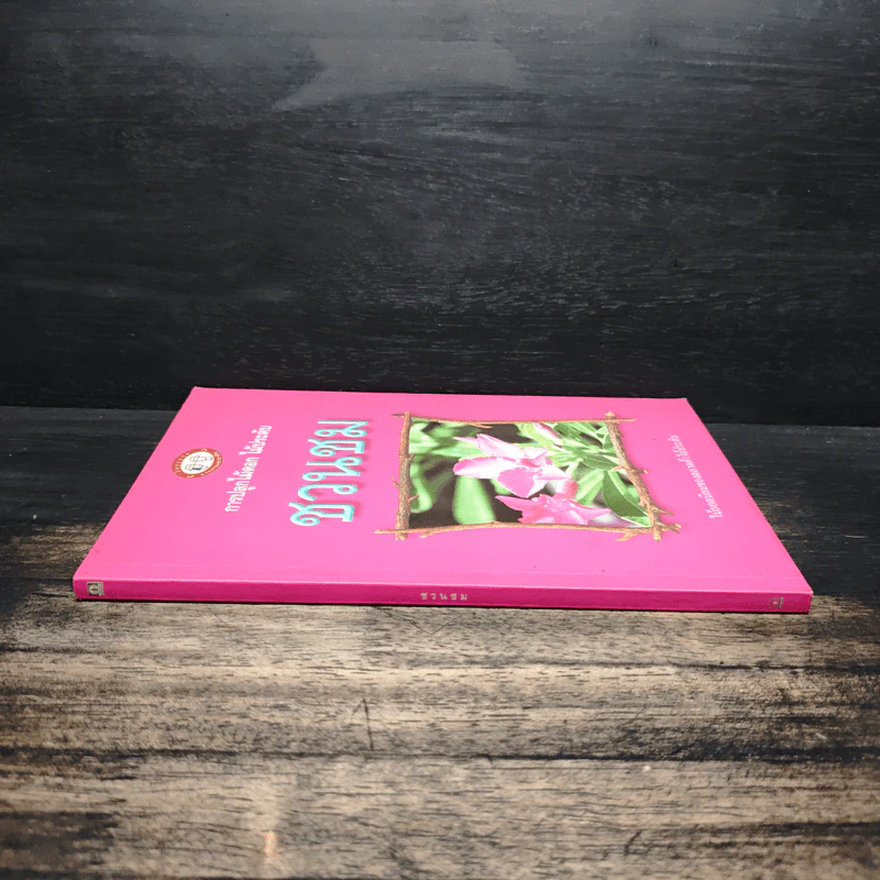 การปลูกไม้ดอก ไม้ประดับ ชวนชม รูปที่ 3