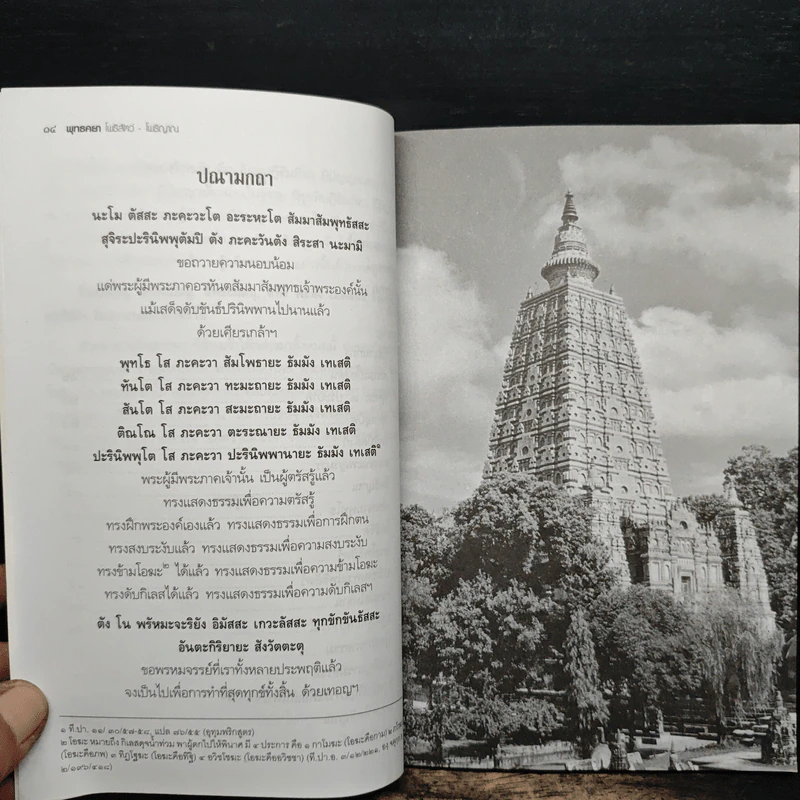 พุทธคยา โพธิสัตว์-โพธิญาณ - พระมาหาประมวล รูปที่ 11