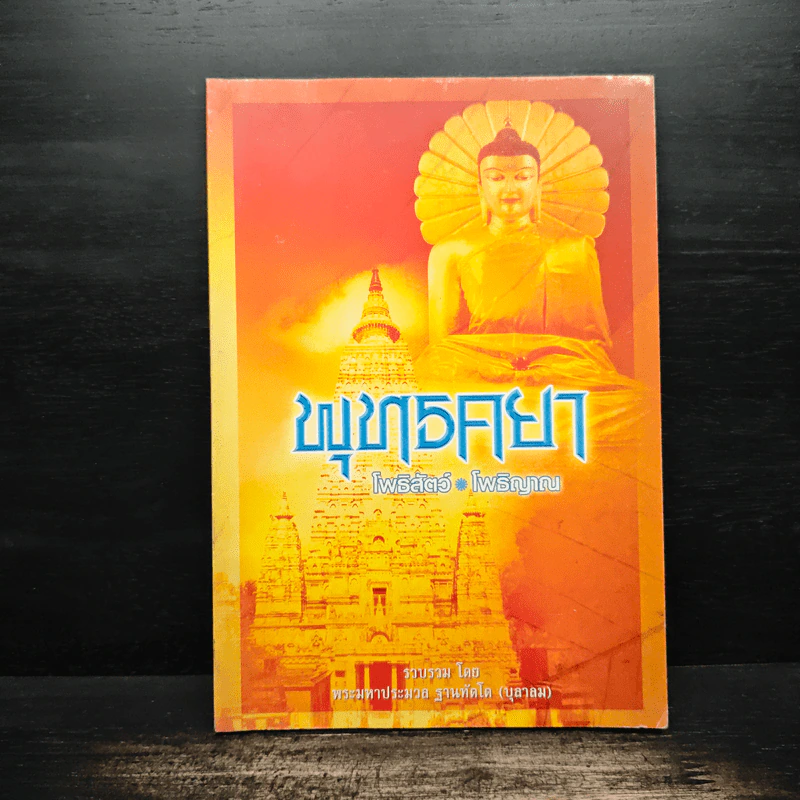 พุทธคยา โพธิสัตว์-โพธิญาณ - พระมาหาประมวล รูปที่ 1