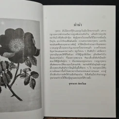 การปลูกกุหลาบ - จุฑามาศ รูปที่ 7