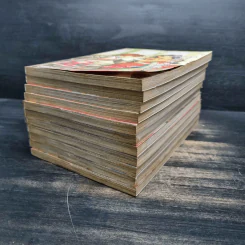 หนังสือการ์ตูน เจ้าหญิงจอมจุ้นกับรักวุ่นๆในวัง เล่ม 1-11 รูปที่ 3