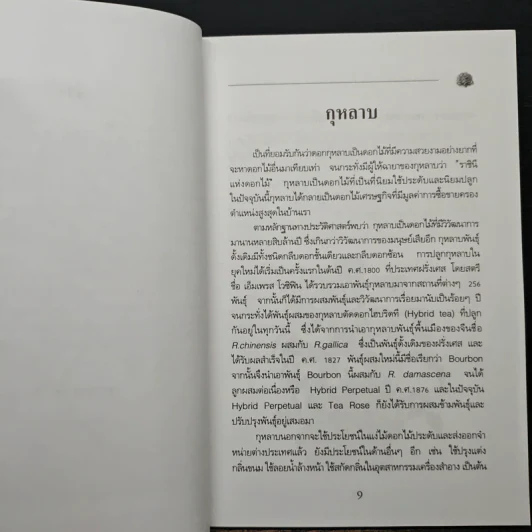 การปลูกกุหลาบ - จุฑามาศ รูปที่ 8