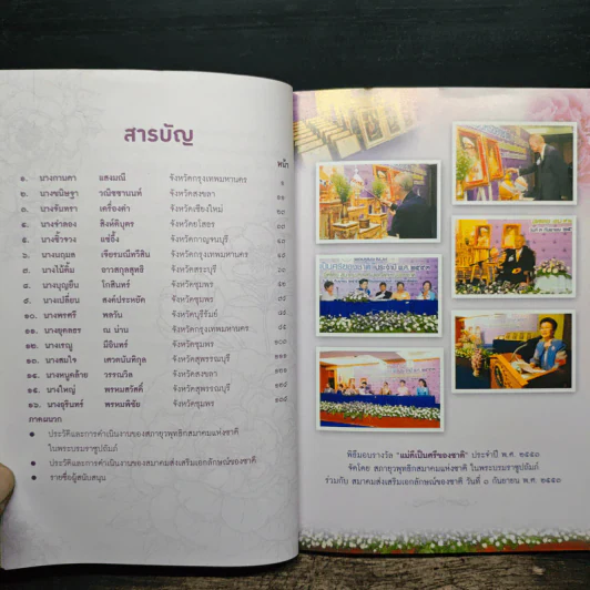 แม่ดีเป็นศรีของชาติ ประจำปี พ.ศ.2553 รูปที่ 8